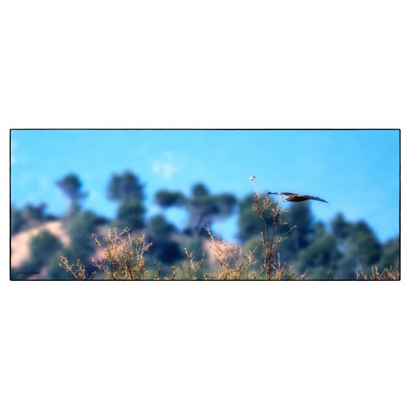 PHOTO84, CLUB, 84 , LUBERON